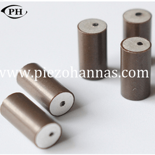 pzt-Material Piezo-Keramik-Zylinder Hersteller von piezoelektrischen Wandlern